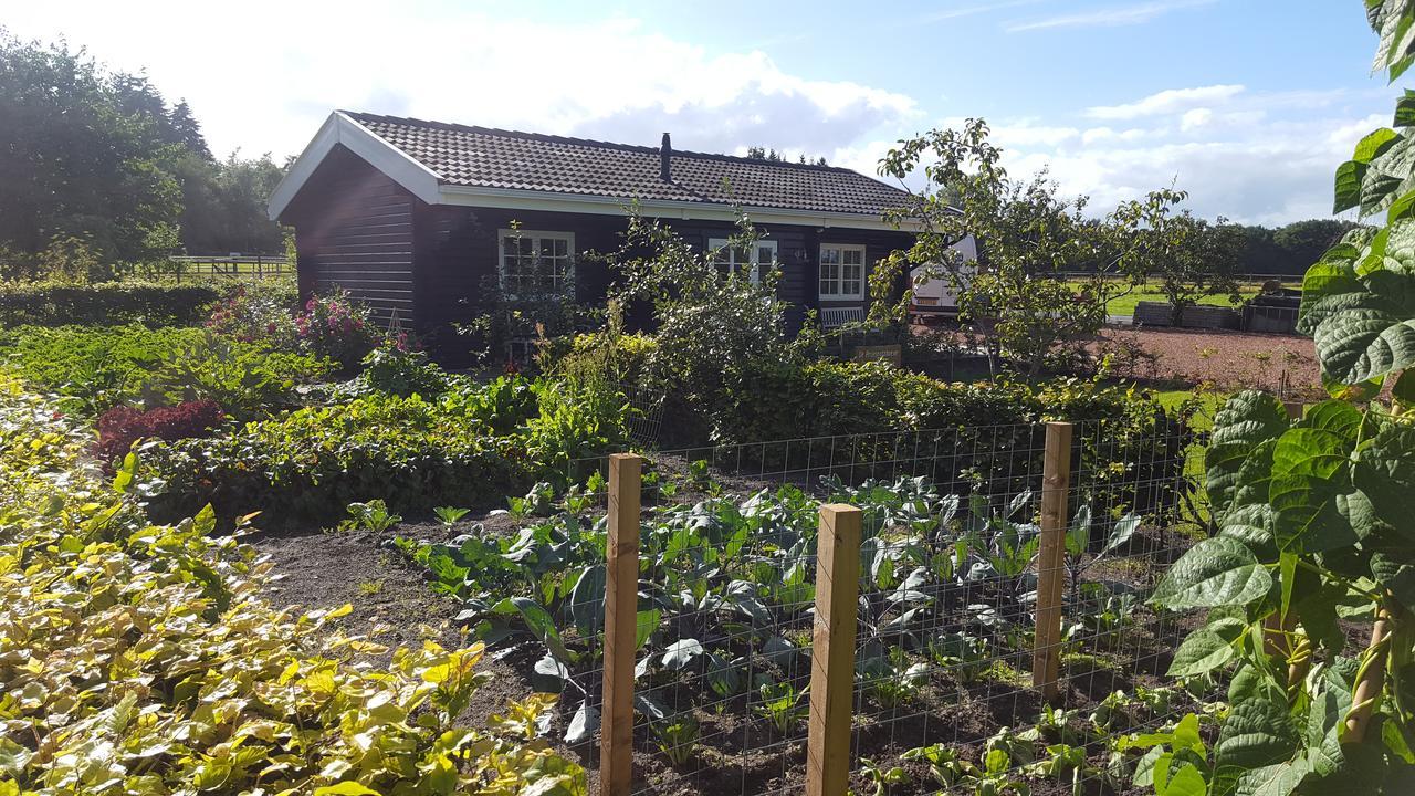 De Priesnitzhoeve Laag-Soeren Eksteriør bilde
